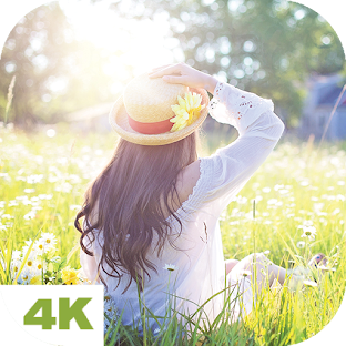 Spring Wallpapers